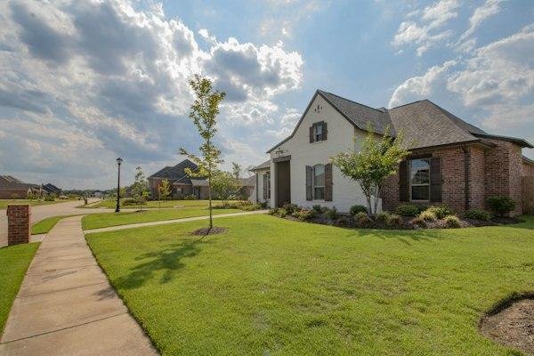 Neatly finished residential front lawn with planted borders and a concrete walkway