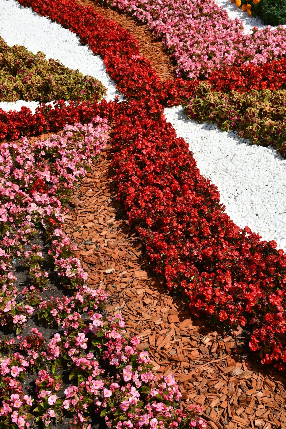 Completed flower beds with red and pink flowers, brown mulch and crisp white gravel borders